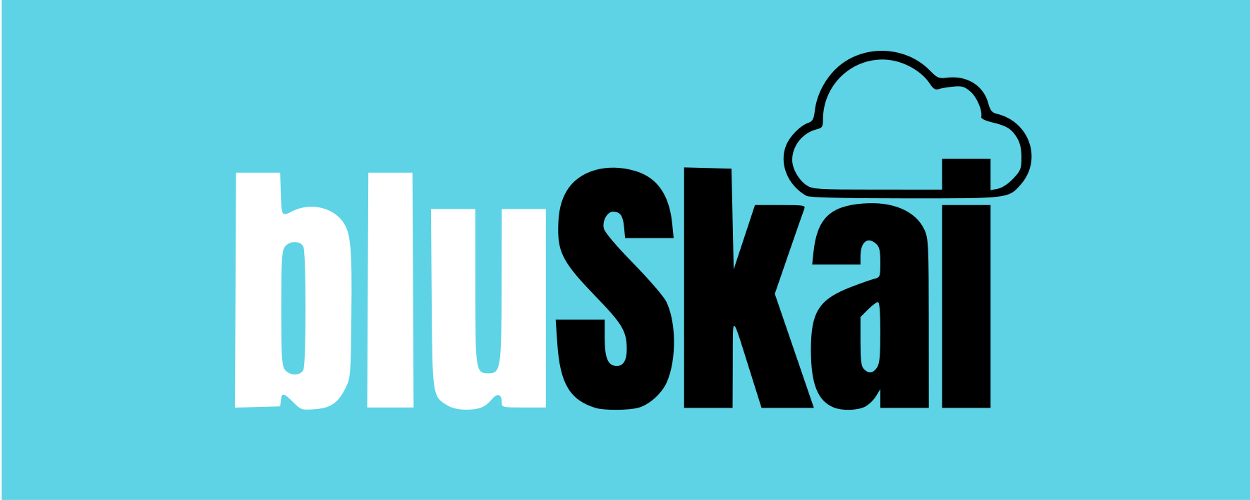 Bluskai